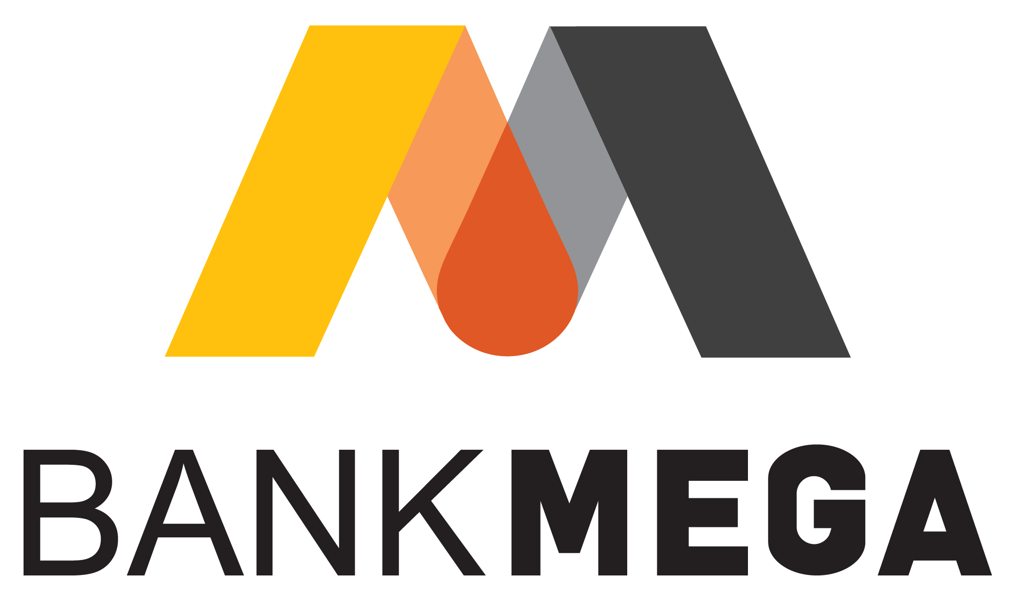 Payment Logo