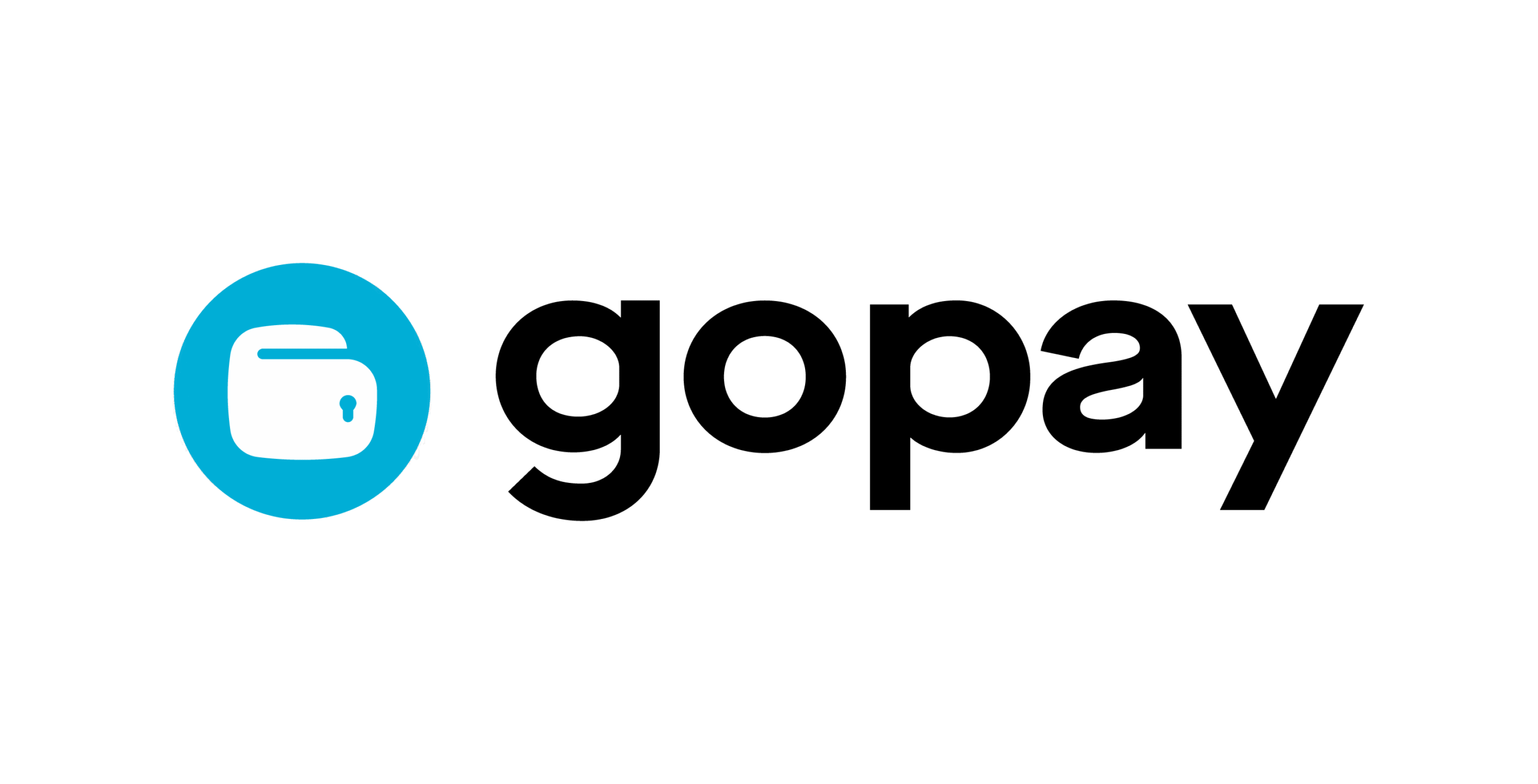 Payment Logo